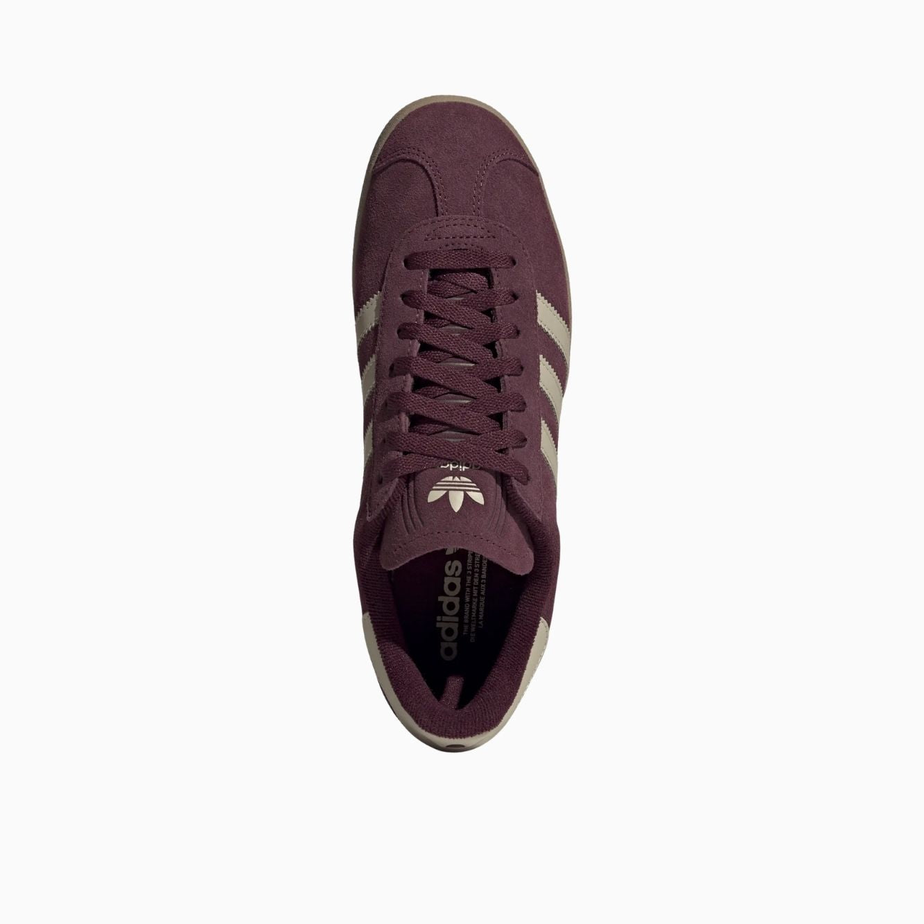Gazelle