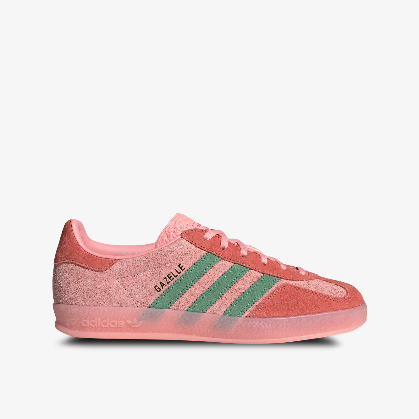 Gazelle indoor