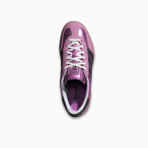 Gazelle indoor