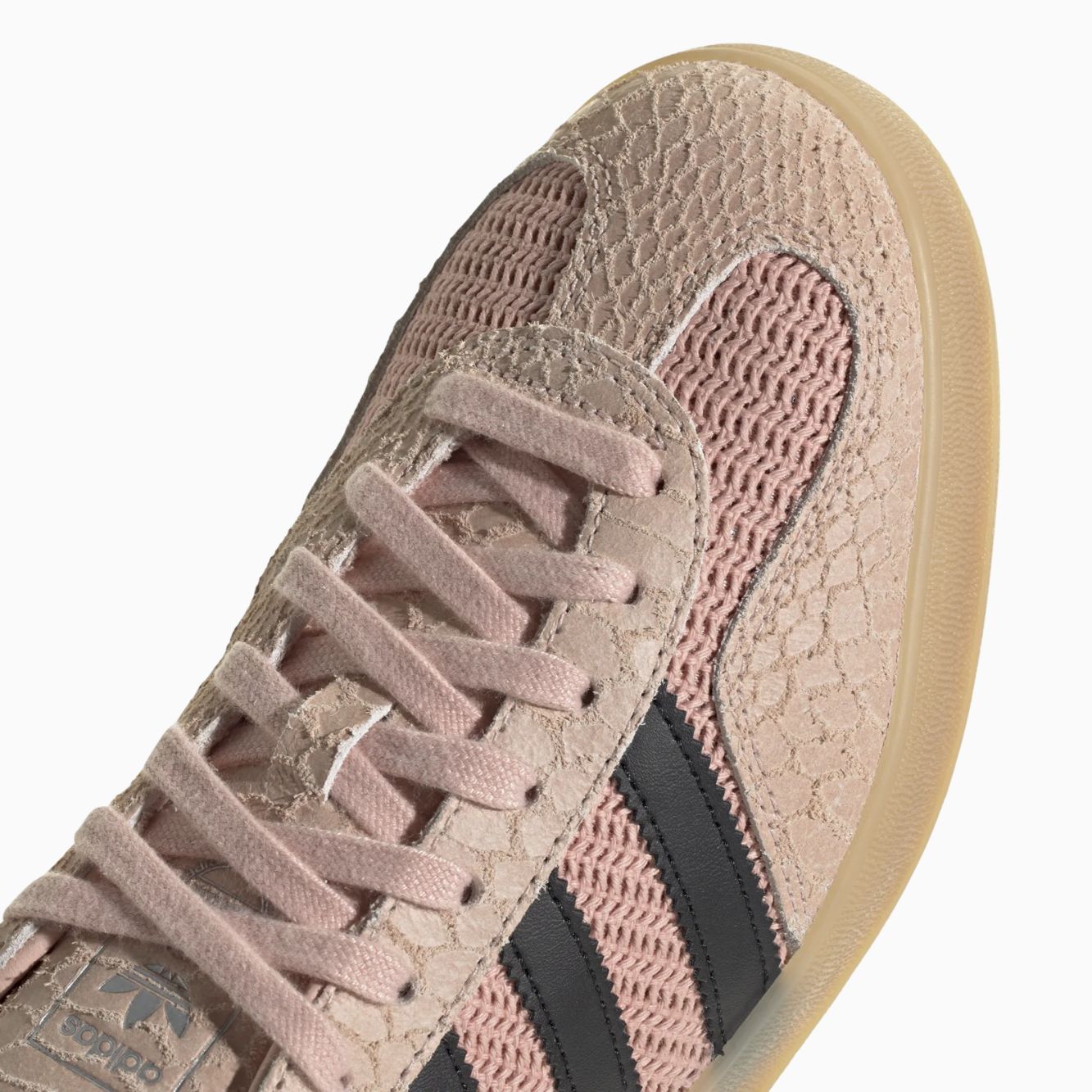 Gazelle indoor