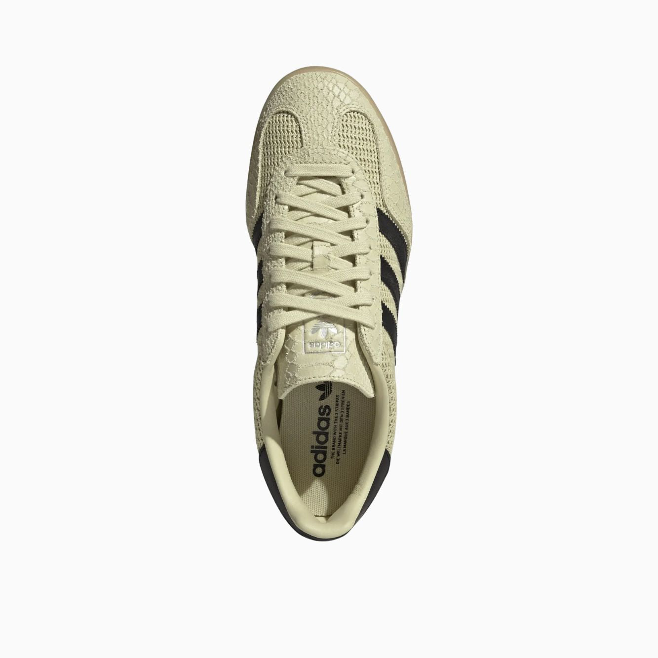 Gazelle Indoor