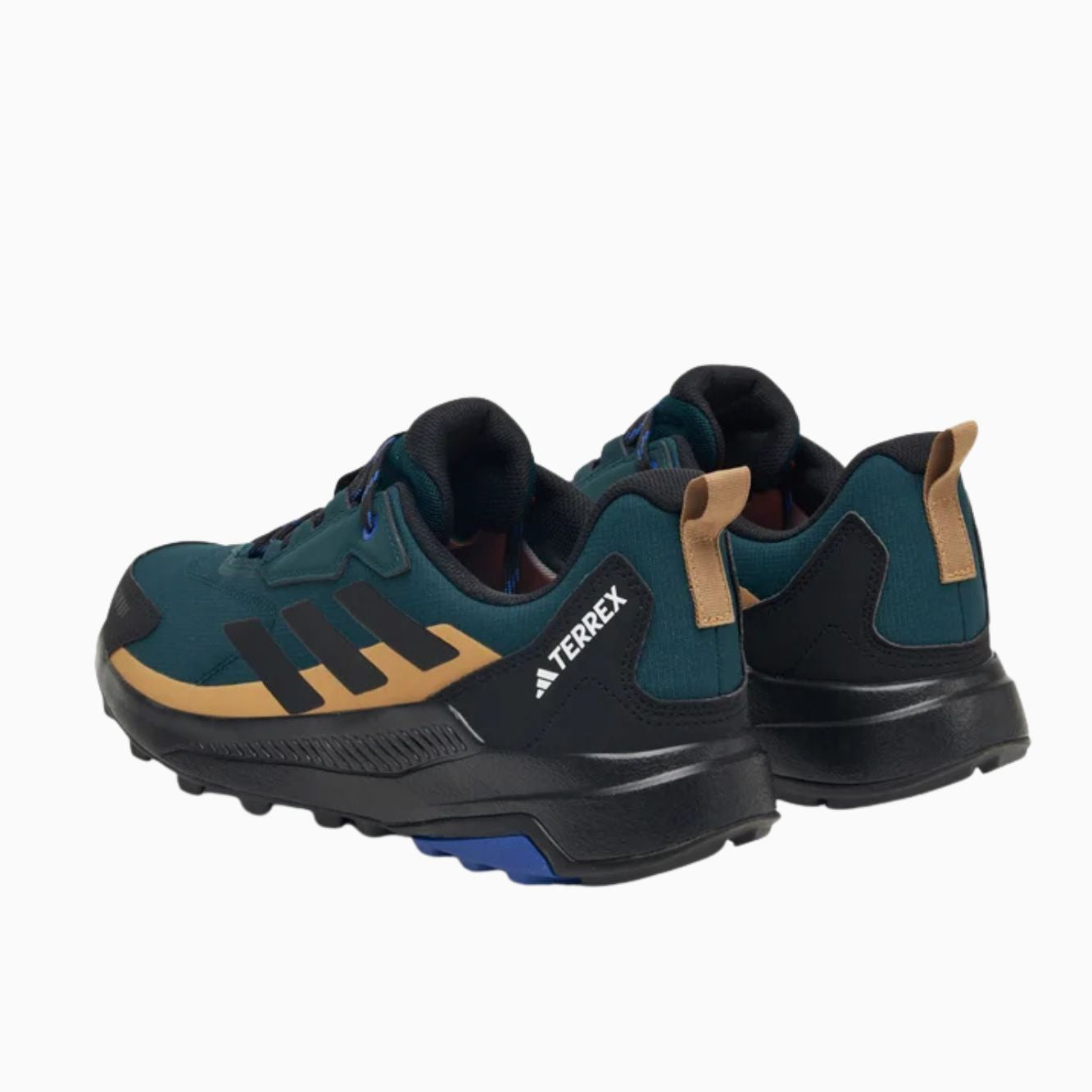 Terrex anylander